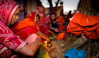 India (Holi Festival, Jaipur, 2012)